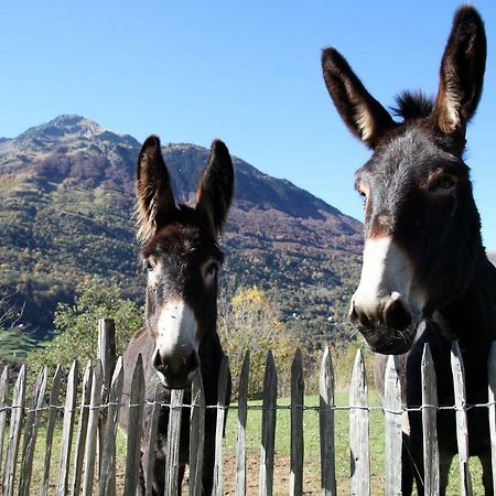 فندق Roulottes Montagne Pyrenees لوز سانت سوفير المظهر الخارجي الصورة