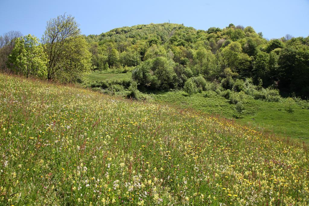 فندق Roulottes Montagne Pyrenees لوز سانت سوفير المظهر الخارجي الصورة