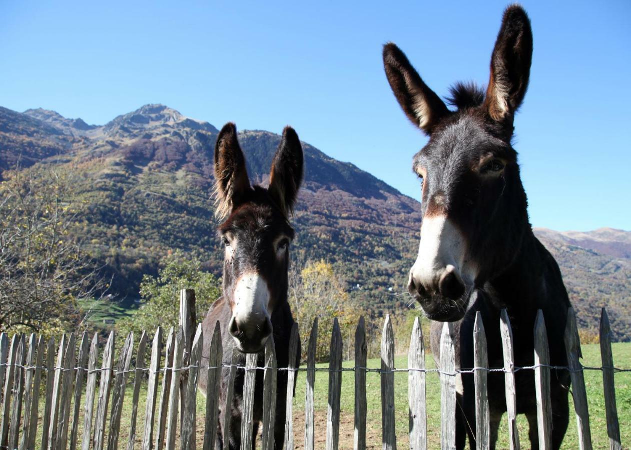 فندق Roulottes Montagne Pyrenees لوز سانت سوفير المظهر الخارجي الصورة